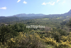 Gaucín 360000&nbsp;m² 