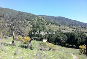 Gaucín 360000&nbsp;m² 