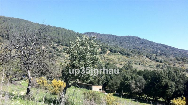 Málaga - Gaucín - 360000m2