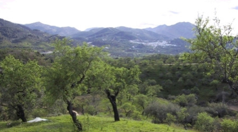 Málaga - Monda - 26000m2