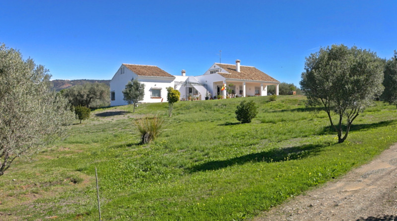 Málaga - Marbella - 31000m2