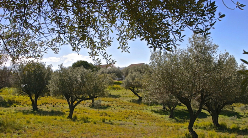 Málaga - Marbella - 31000m2