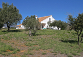 Vil·la amb terreny en venda a Marbella ref.: TR199676 foto