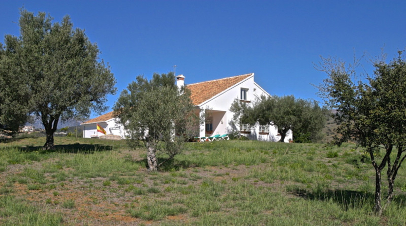 Málaga - Marbella - 31000m2