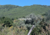 Non-developable land for sale in Casares ref: TR109895 photo