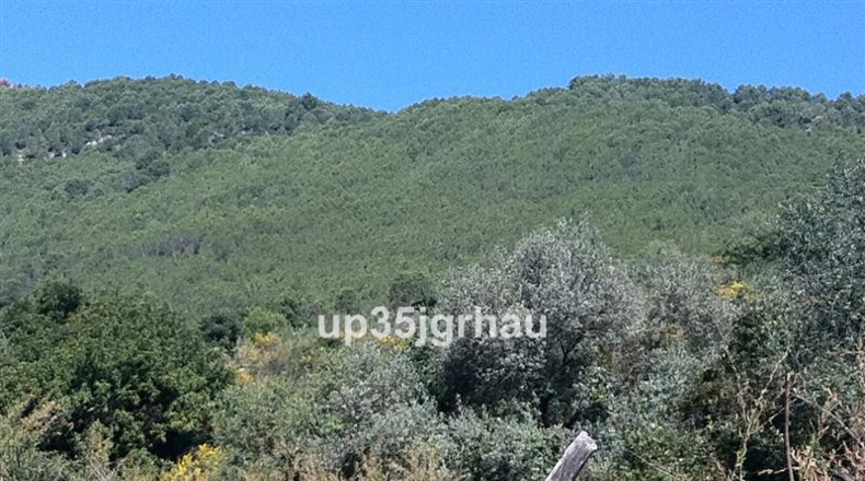 Málaga - Casares - 1000000m2