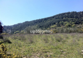 Non-developable land for sale in Casares ref: TR109895 photo