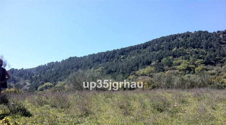 Málaga - Casares - 1000000m2