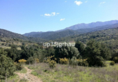 Non-developable land for sale in Casares ref: TR109895 photo