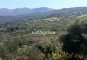 Non-developable land for sale in Casares ref: TR109895 photo
