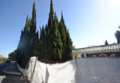 Terreny no urbanitzable en venda a Marbella ref.: TR252596 foto