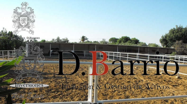 Sevilla - Utrera - 11000m2