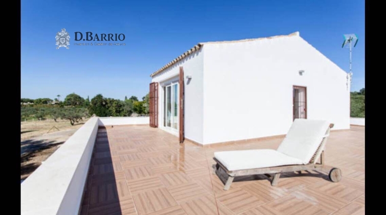 Sevilla - Espartinas - 19000m2