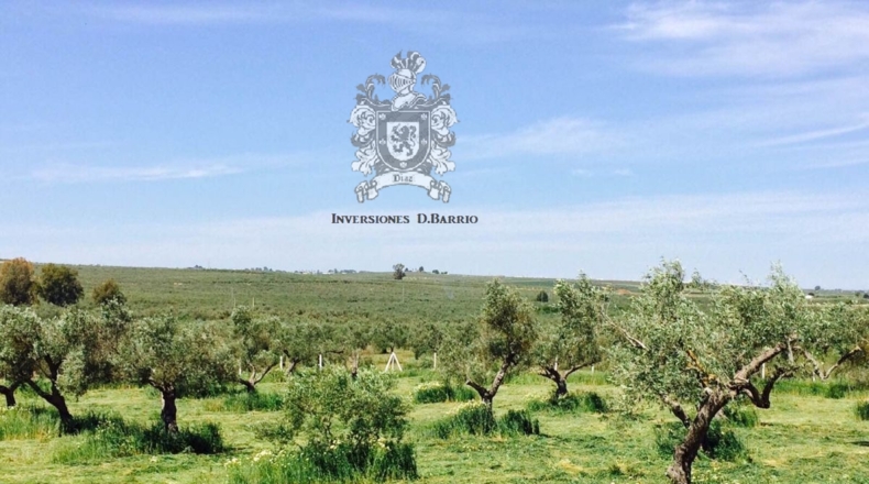 Sevilla - Espartinas - 19000m2