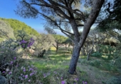 Sòl urbà en venda a Platja d'Aro ref.: TR53709 foto