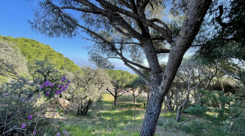 Gerona - Platja d'Aro - 1200m2