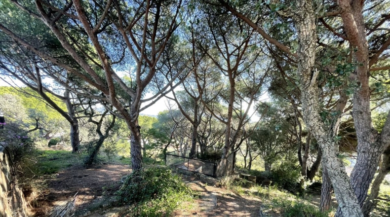 Gerona - Platja d'Aro - 1200m2