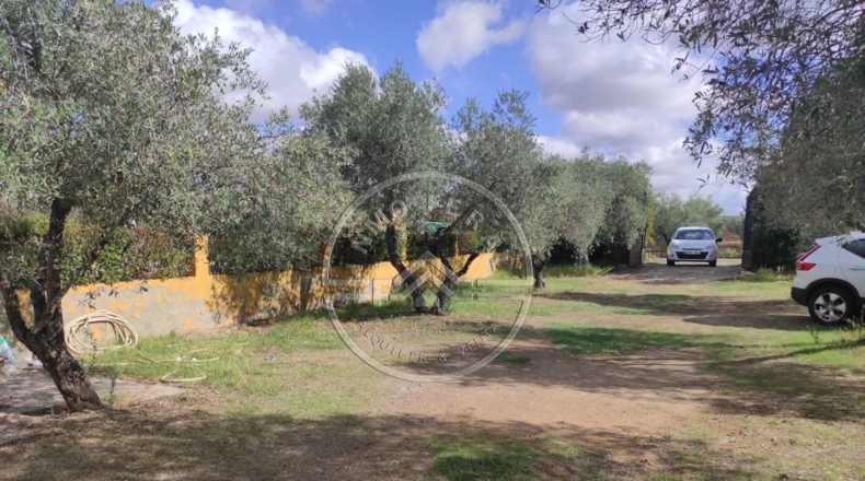 Córdoba - La Carlota - 3545m2
