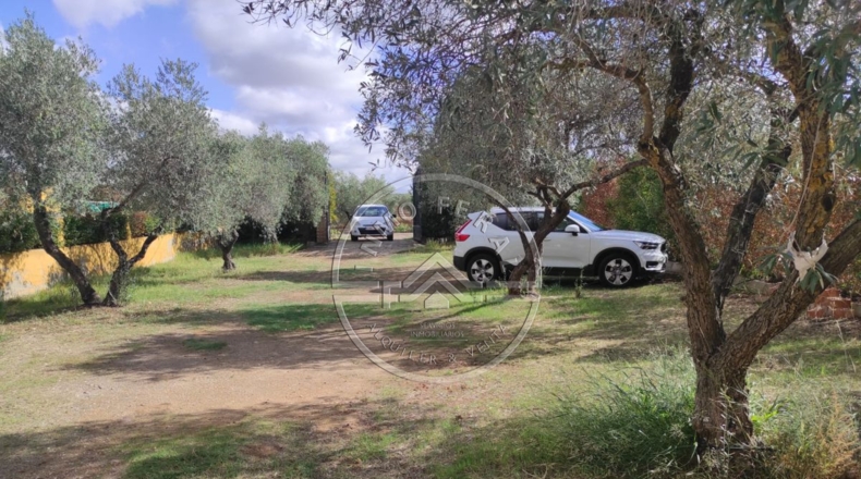 Córdoba - La Carlota - 3545m2