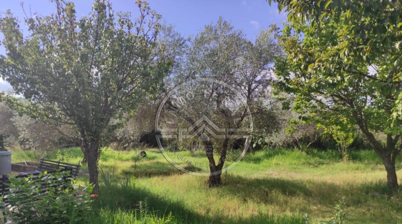 Córdoba - La Carlota - 3545m2
