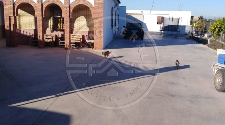 Sevilla - Écija - 4000m2
