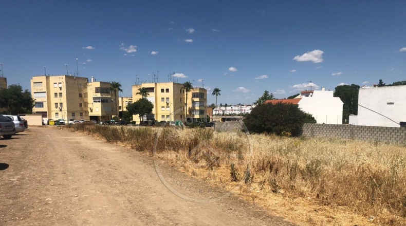 Sevilla - Marchena - 1500m2