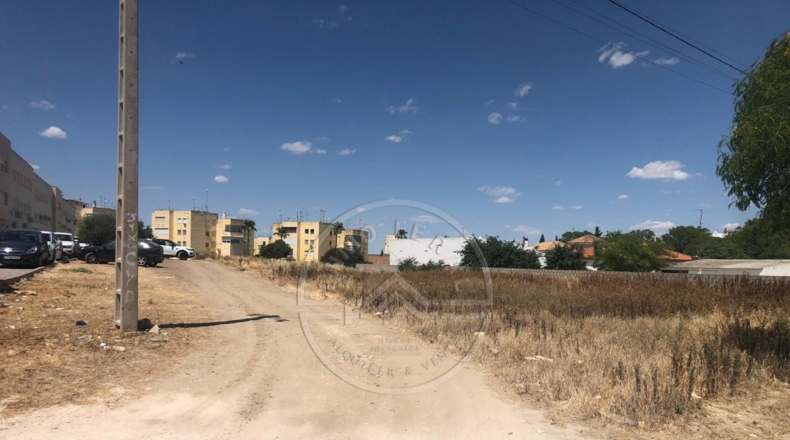 Sevilla - Marchena - 1500m2