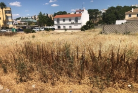 Marchena 1500&nbsp;m² 