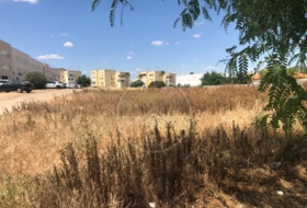 Marchena 1500&nbsp;m² 