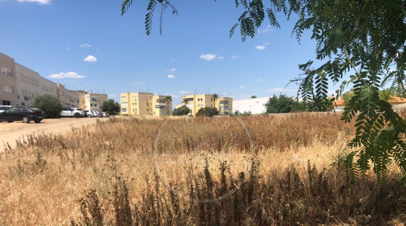 Sevilla - Marchena - 1500m2