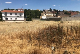 Marchena 1500&nbsp;m² 