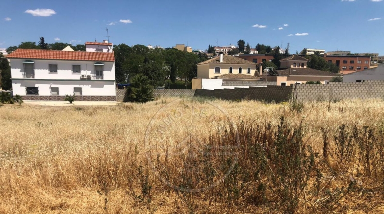 Sevilla - Marchena - 1500m2