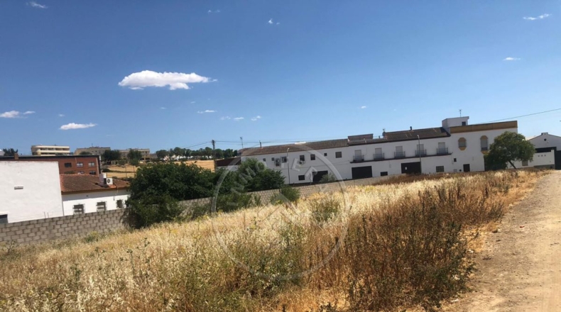 Sevilla - Marchena - 1500m2