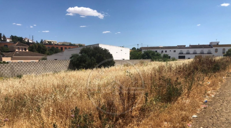 Sevilla - Marchena - 1500m2