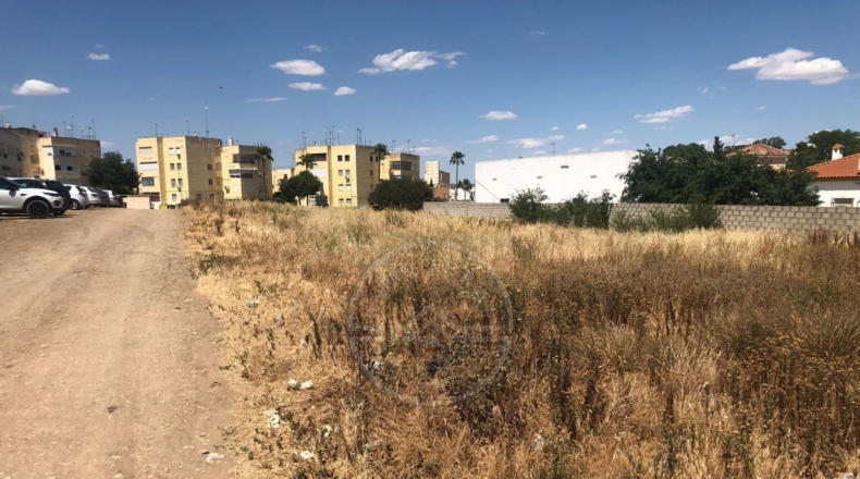 Sevilla - Marchena - 1500m2
