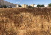 Suelo urbano en venta en Marchena ref: TR75063 foto