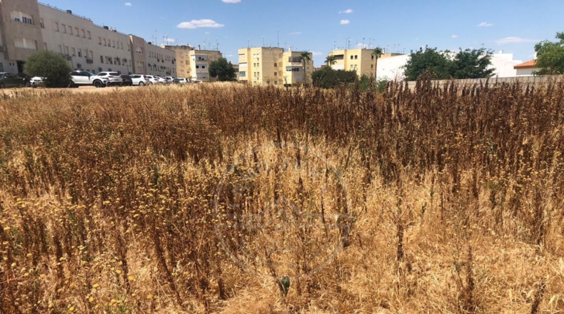 Sevilla - Marchena - 1500m2