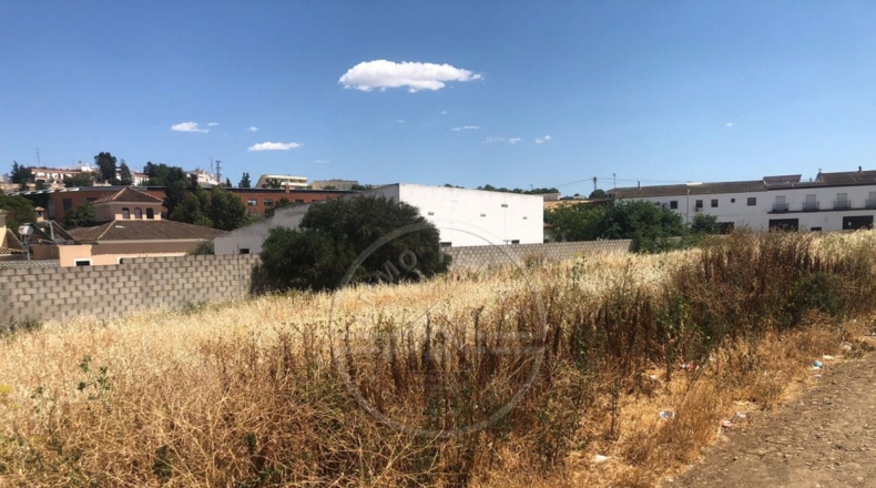 Sevilla - Marchena - 1500m2