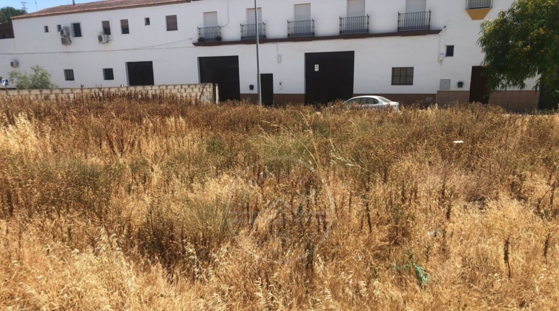 Sevilla - Marchena - 1500m2