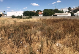 Marchena 1500&nbsp;m² 