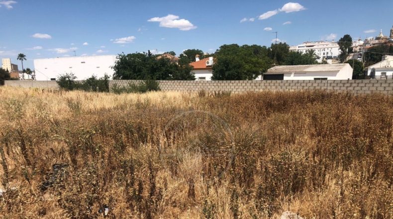 Sevilla - Marchena - 1500m2