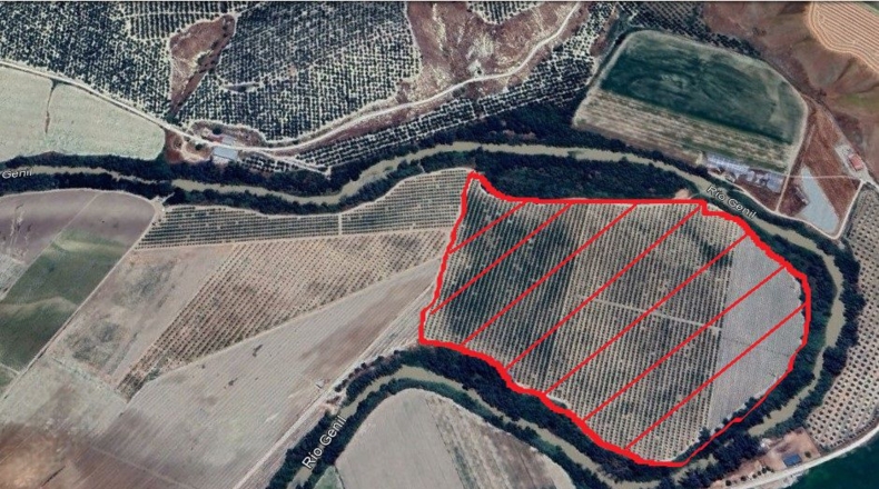 Sevilla - Écija - 162500m2