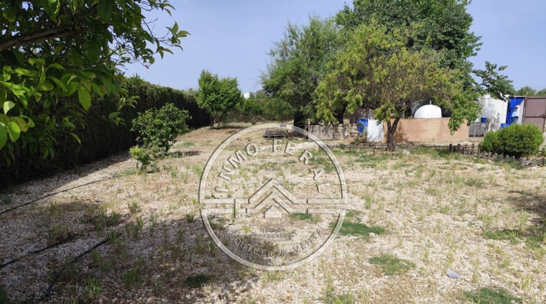 Sevilla - Écija - 2500m2