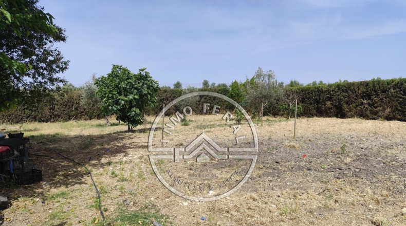 Sevilla - Écija - 2500m2
