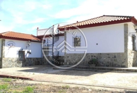 El Coronil 9500&nbsp;м²