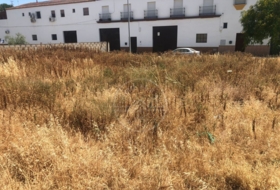 Marchena 1688&nbsp;m² 