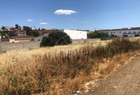 Marchena 1688&nbsp;m² 