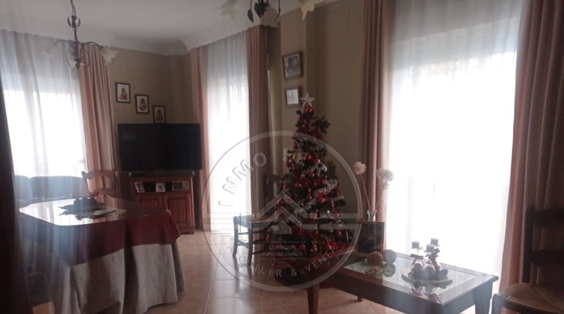 Sevilla - Écija - 298m2