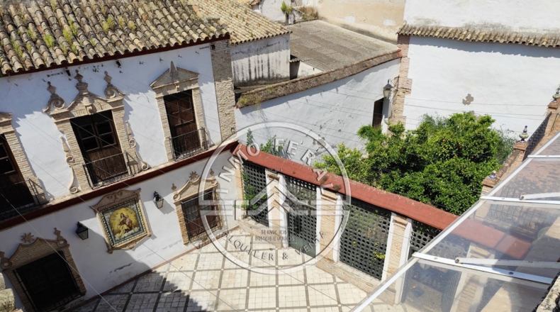 Seville - Écija - 1900m2