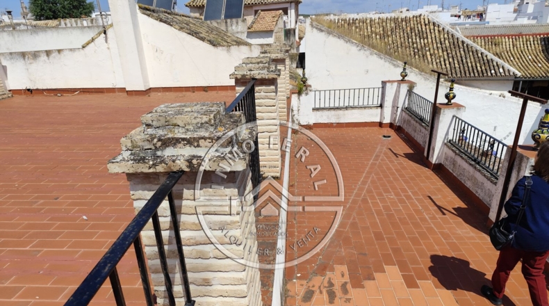 Seville - Écija - 1900m2